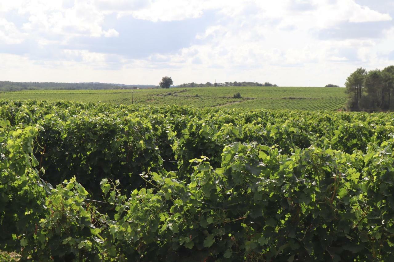 Domaine Des Tilleuls Val-de-Livenne Eksteriør billede